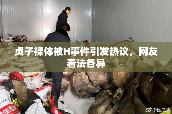 贞子裸体被H事件引发热议，网友看法各异