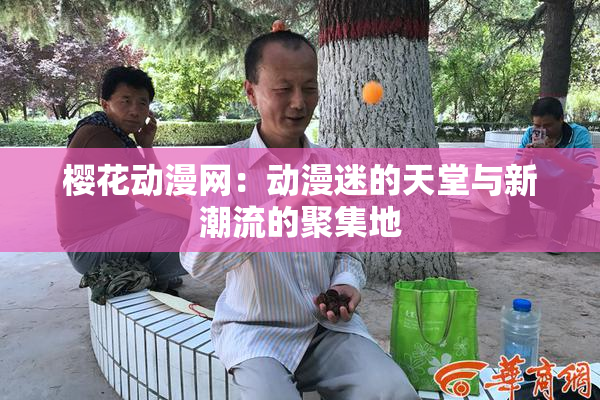 樱花动漫网：动漫迷的天堂与新潮流的聚集地