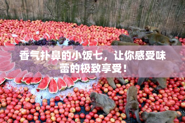 香气扑鼻的小饭七，让你感受味蕾的极致享受！