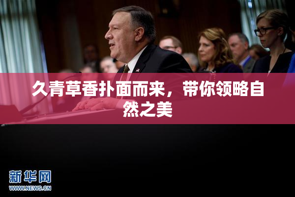 久青草香扑面而来，带你领略自然之美