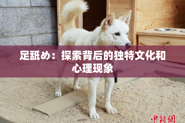 足舐め：探索背后的独特文化和心理现象