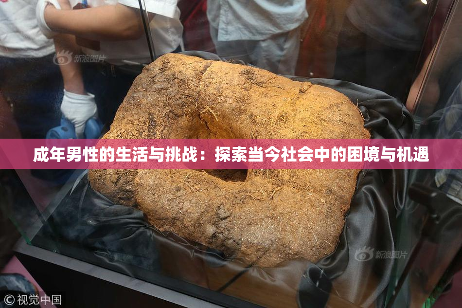 成年男性的生活与挑战：探索当今社会中的困境与机遇