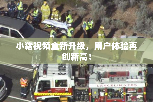 小猪视频全新升级，用户体验再创新高！