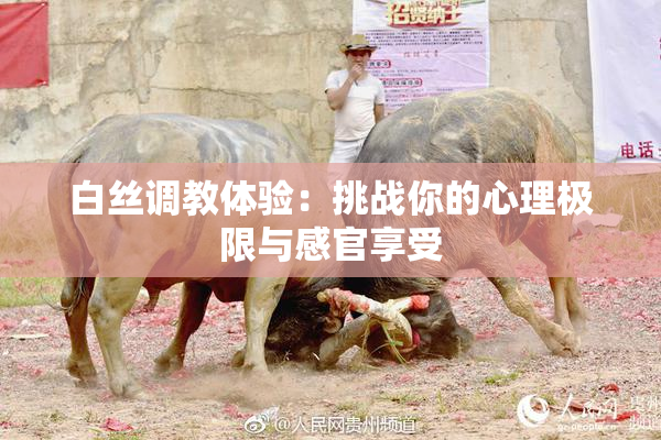 白丝调教体验：挑战你的心理极限与感官享受