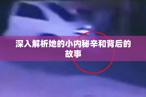 深入解析她的小内秘辛和背后的故事