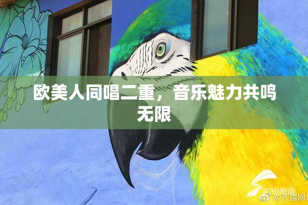 欧美人同唱二重，音乐魅力共鸣无限