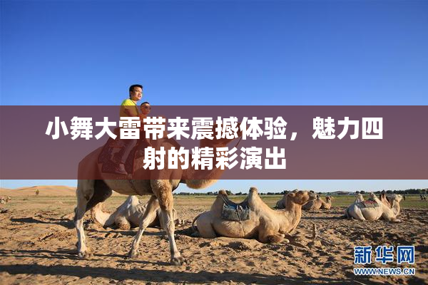 小舞大雷带来震撼体验，魅力四射的精彩演出