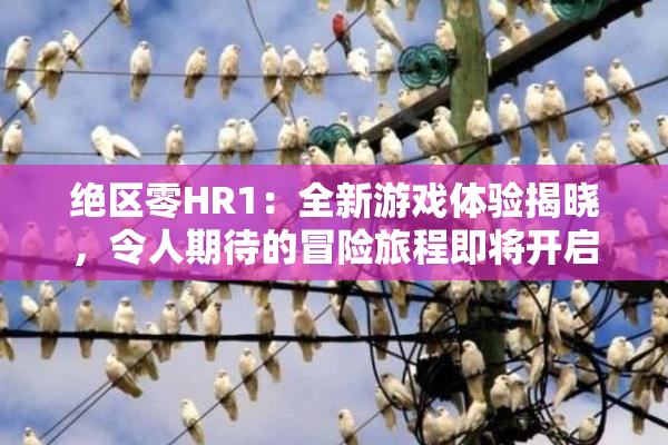 绝区零HR1：全新游戏体验揭晓，令人期待的冒险旅程即将开启！