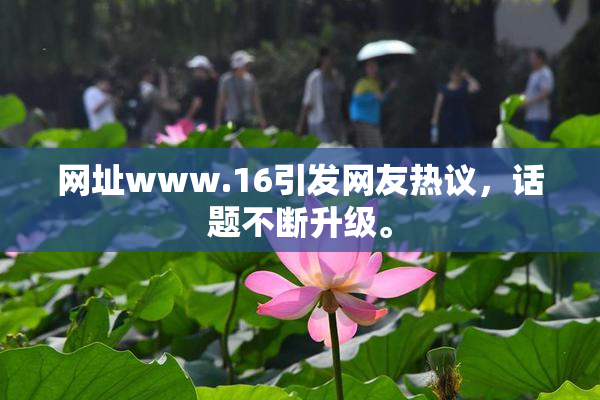 网址www.16引发网友热议，话题不断升级。