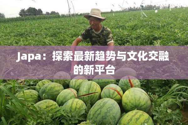 Japa：探索最新趋势与文化交融的新平台