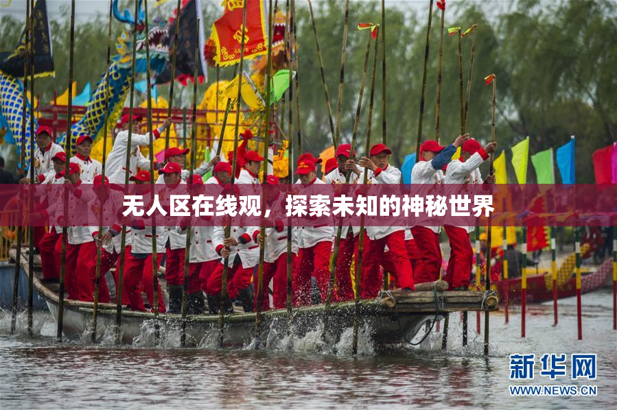 无人区在线观，探索未知的神秘世界