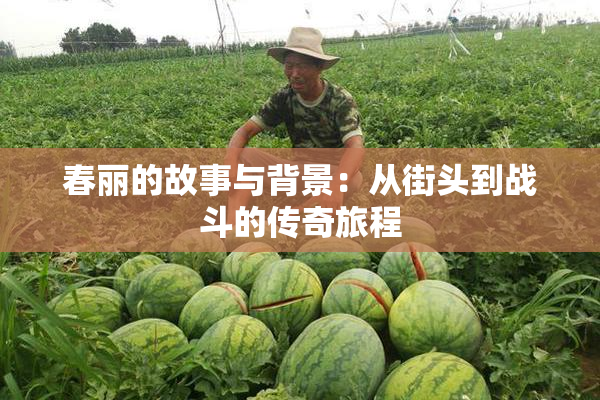 春丽的故事与背景：从街头到战斗的传奇旅程