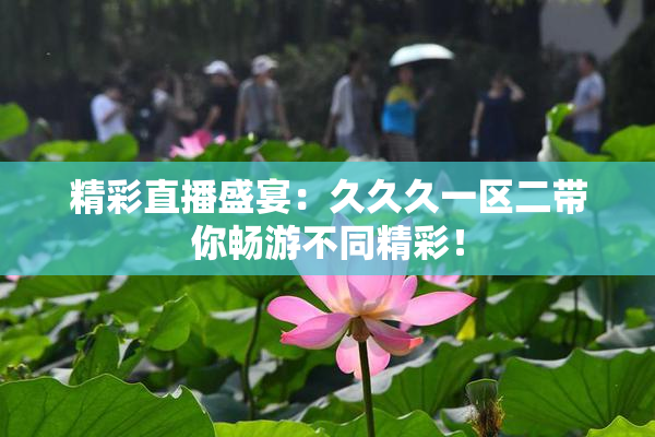 精彩直播盛宴：久久久一区二带你畅游不同精彩！