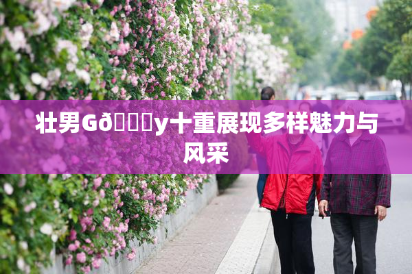 壮男G🈚y十重展现多样魅力与风采