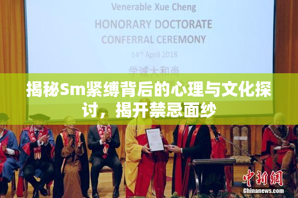 揭秘Sm紧缚背后的心理与文化探讨，揭开禁忌面纱