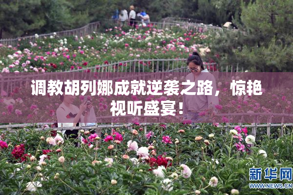 调教胡列娜成就逆袭之路，惊艳视听盛宴！