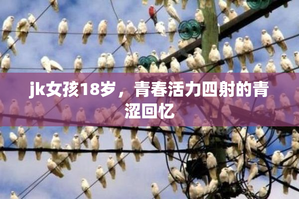jk女孩18岁，青春活力四射的青涩回忆
