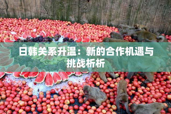日韩关系升温：新的合作机遇与挑战析析