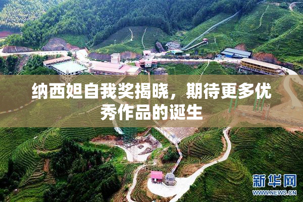 纳西妲自我奖揭晓，期待更多优秀作品的诞生