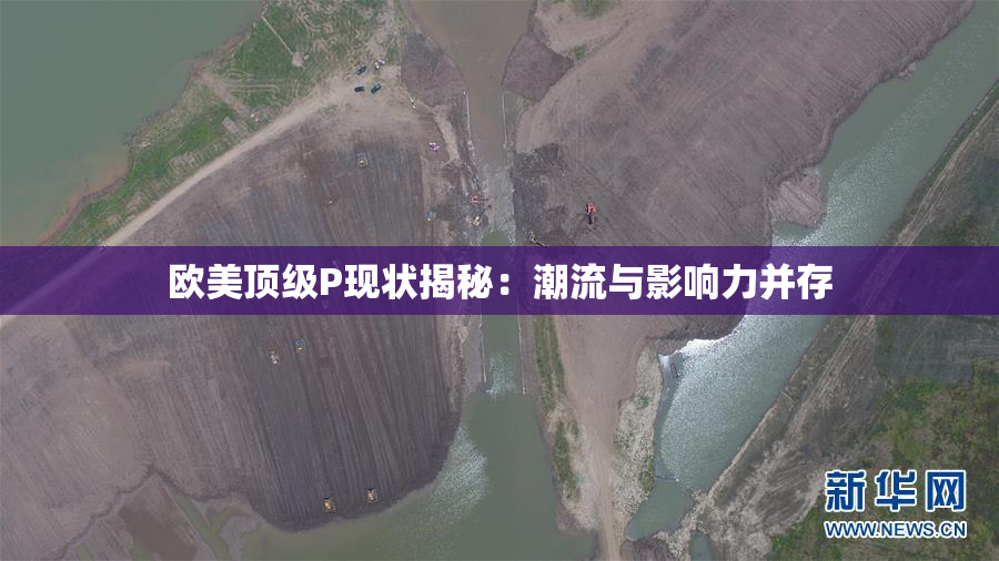 欧美顶级P现状揭秘：潮流与影响力并存