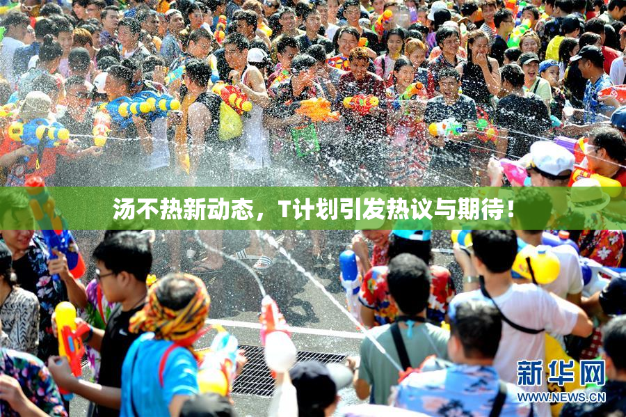 汤不热新动态，T计划引发热议与期待！