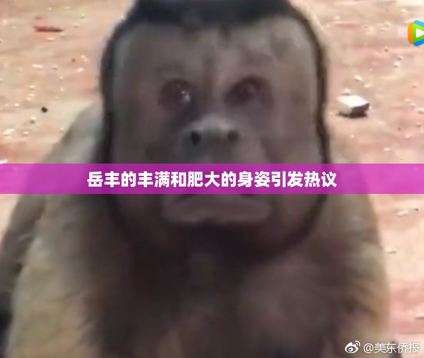 岳丰的丰满和肥大的身姿引发热议