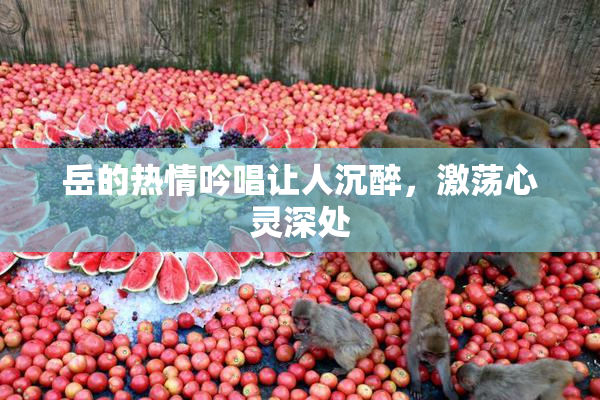 岳的热情吟唱让人沉醉，激荡心灵深处