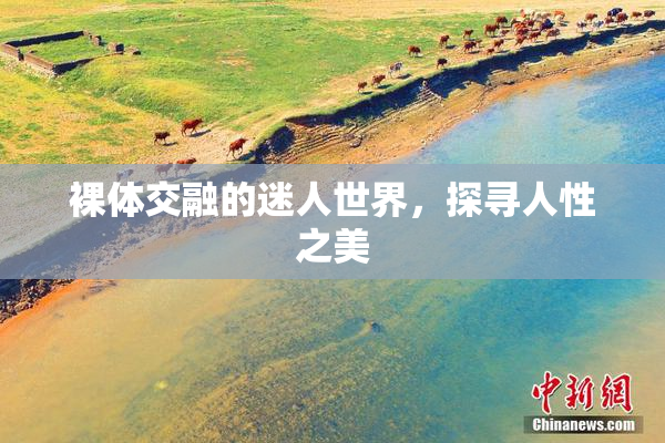 裸体交融的迷人世界，探寻人性之美