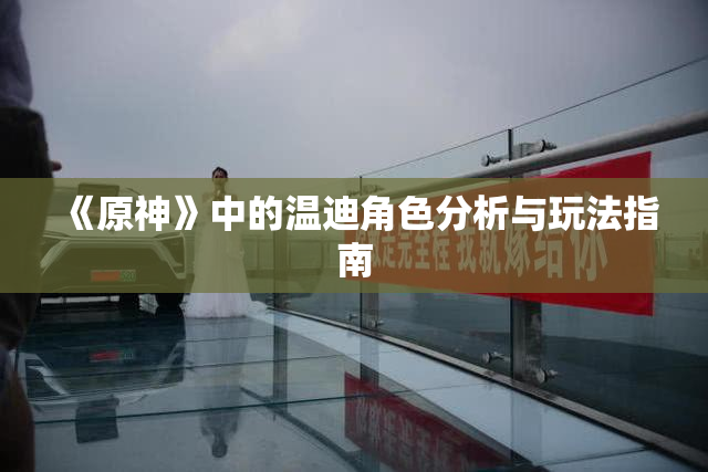 《原神》中的温迪角色分析与玩法指南