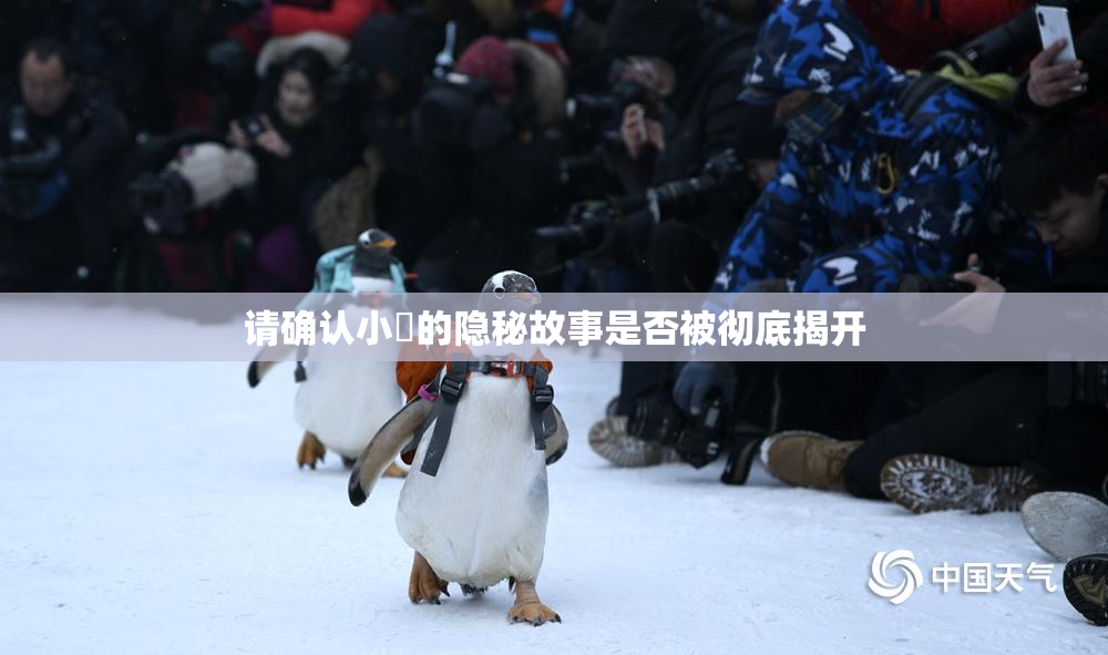 请确认小泬的隐秘故事是否被彻底揭开