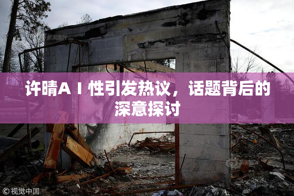 许晴AⅠ性引发热议，话题背后的深意探讨