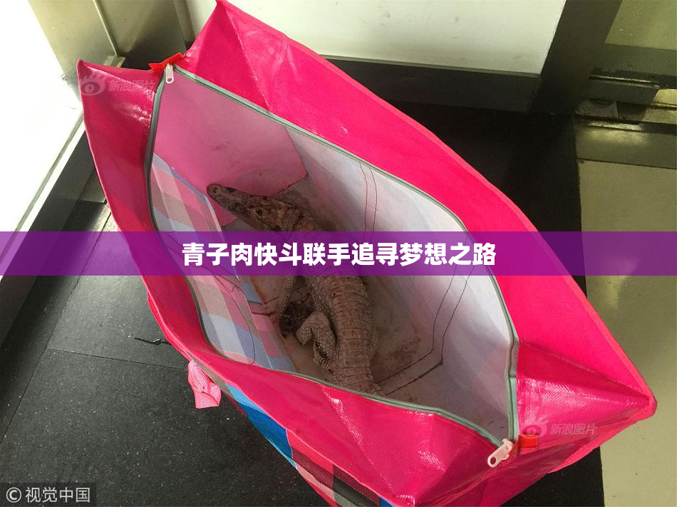 青子肉快斗联手追寻梦想之路