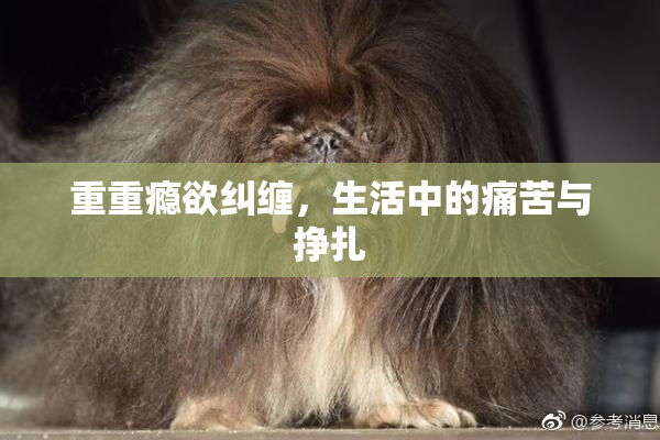 重重瘾欲纠缠，生活中的痛苦与挣扎