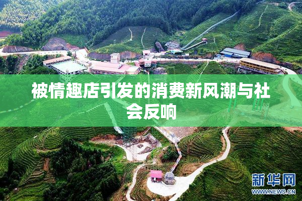 被情趣店引发的消费新风潮与社会反响