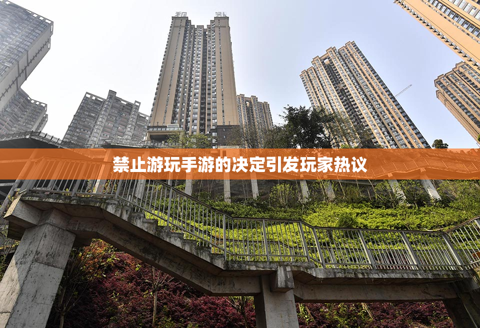 禁止游玩手游的决定引发玩家热议