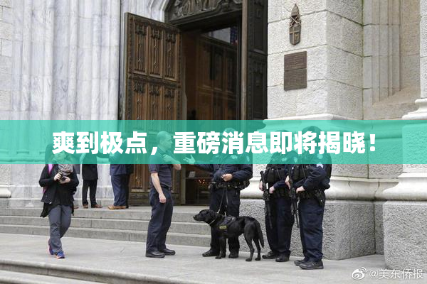 爽到极点，重磅消息即将揭晓！