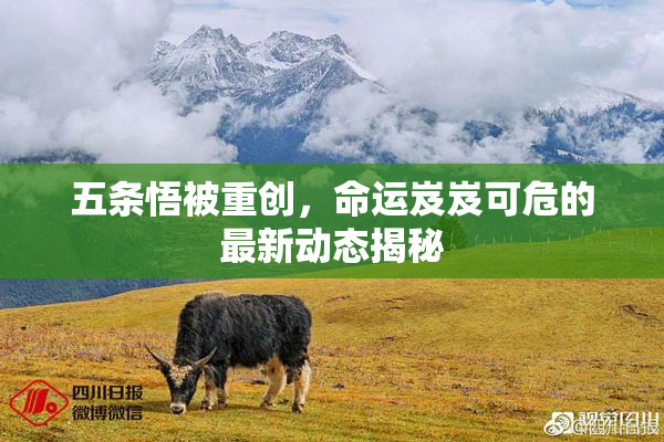 五条悟被重创，命运岌岌可危的最新动态揭秘
