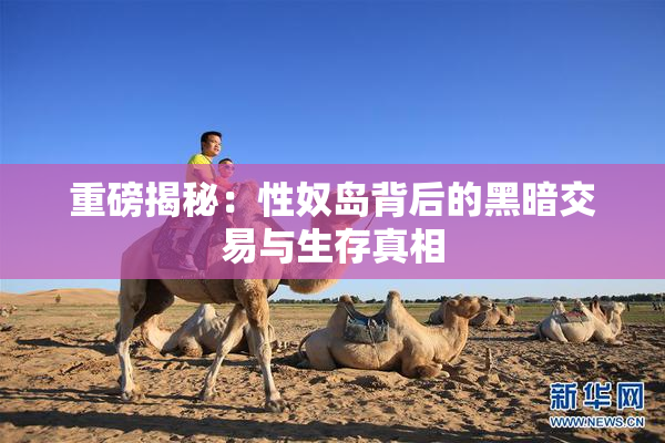 重磅揭秘：性奴岛背后的黑暗交易与生存真相