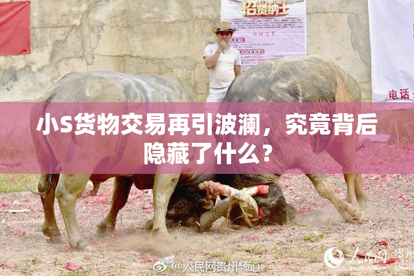 小S货物交易再引波澜，究竟背后隐藏了什么？