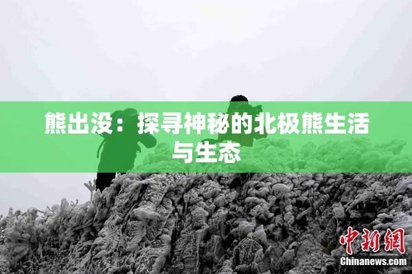 熊出没：探寻神秘的北极熊生活与生态