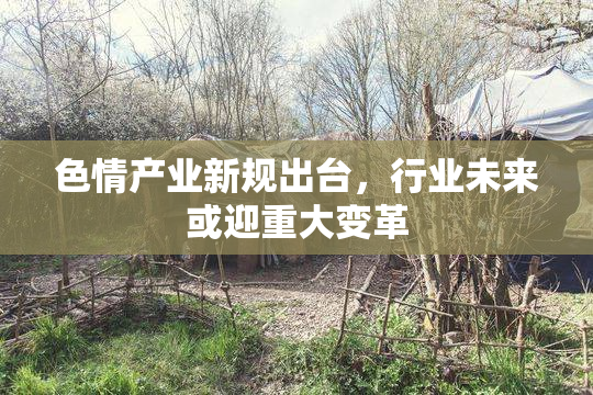 色情产业新规出台，行业未来或迎重大变革