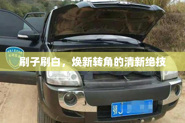 刷子刷白，焕新转角的清新绝技