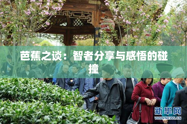 芭蕉之谈：智者分享与感悟的碰撞