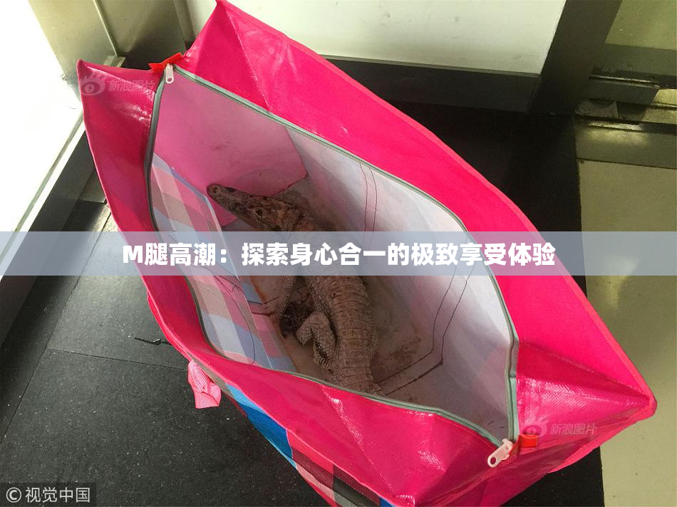 M腿高潮：探索身心合一的极致享受体验