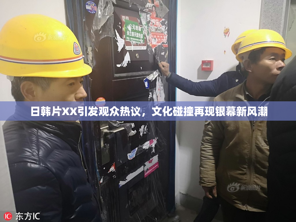 日韩片XX引发观众热议，文化碰撞再现银幕新风潮