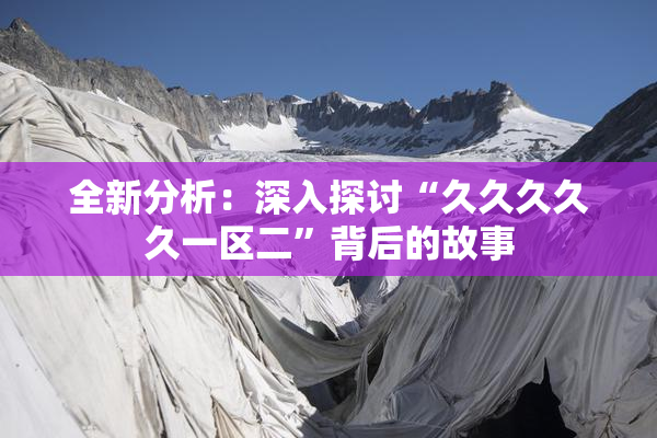 全新分析：深入探讨“久久久久久一区二”背后的故事