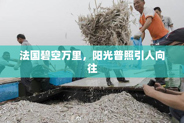 法国碧空万里，阳光普照引人向往