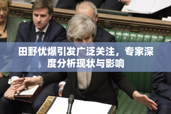 田野忧爆引发广泛关注，专家深度分析现状与影响
