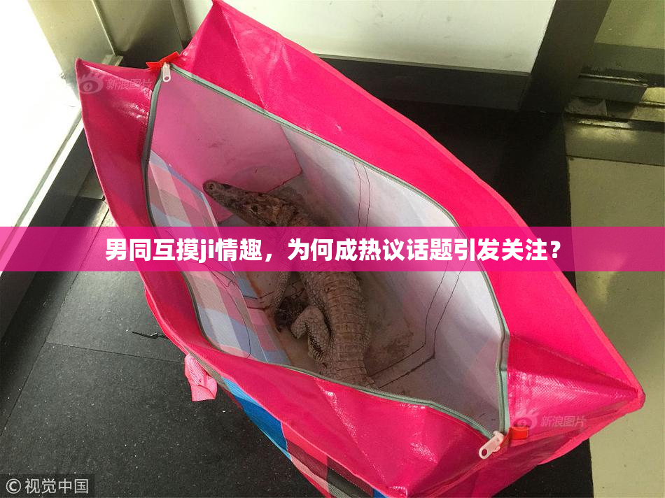 男同互摸ji情趣，为何成热议话题引发关注？