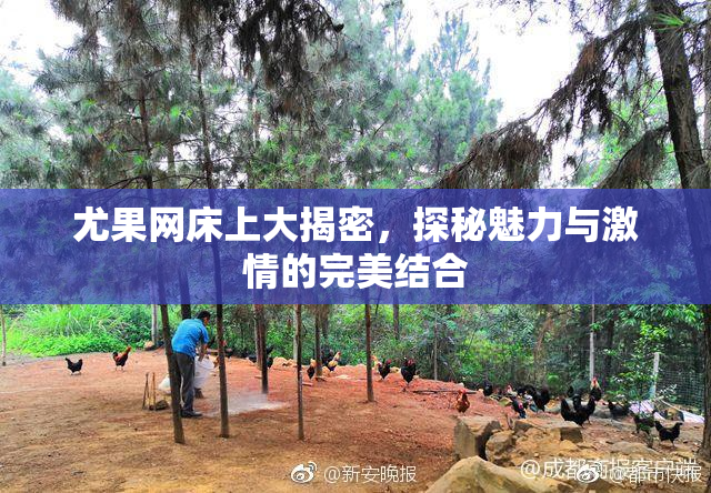 尤果网床上大揭密，探秘魅力与激情的完美结合